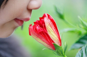 Aromachology and the power of smell